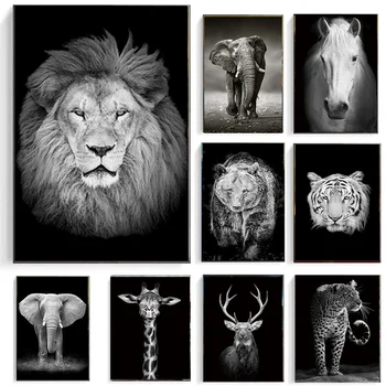 Abstraktne Must ja Valge Loomade Lõuend Maalid Lõvi, Elevant, Sebra Pildid ja Plakatid Seina Art Pilte elutuba Decor